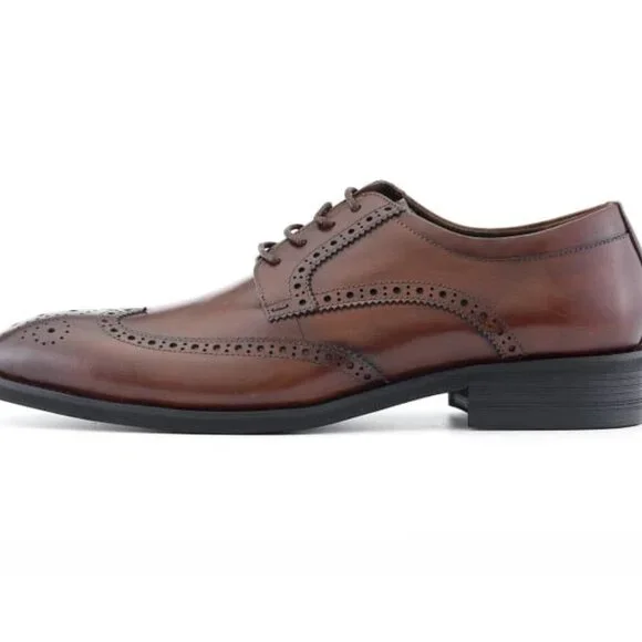 NEW Asher Green Men's Genuine Calf Leather Wingtip Dress Shoes Size 13